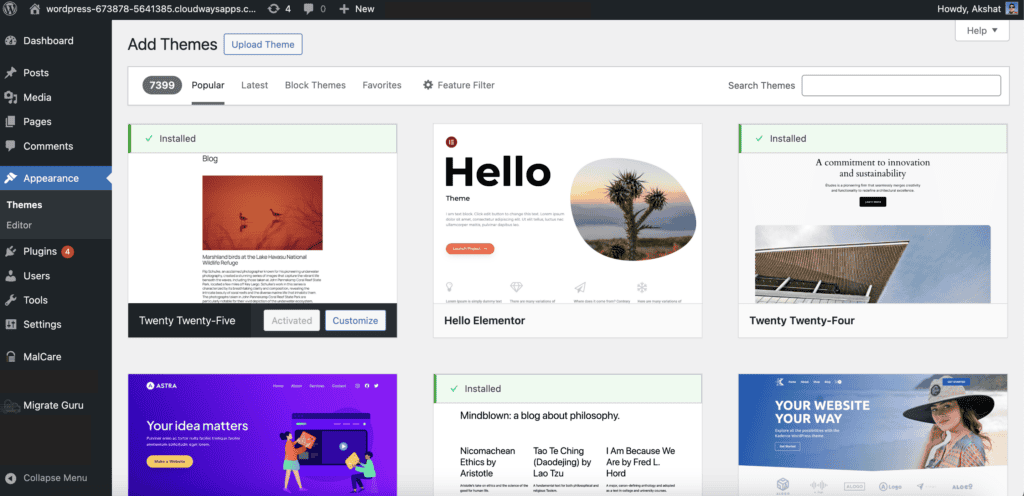 WordPress themes